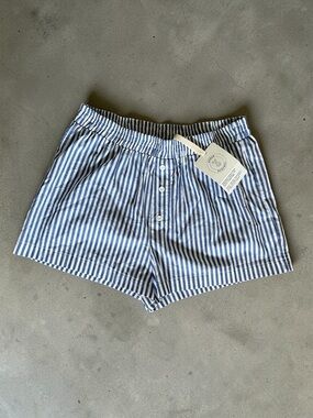 Urban Outfitters Blue and White Striped High-Waist Shorts
